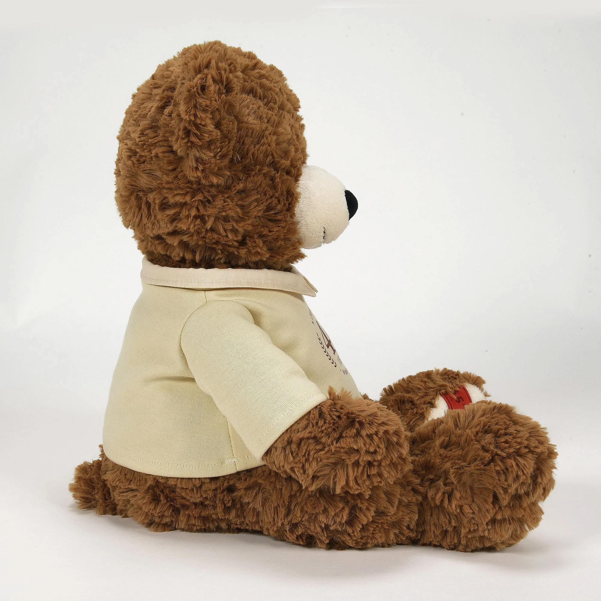 45th Anniversary Bear by Boyds Bears - Image 4