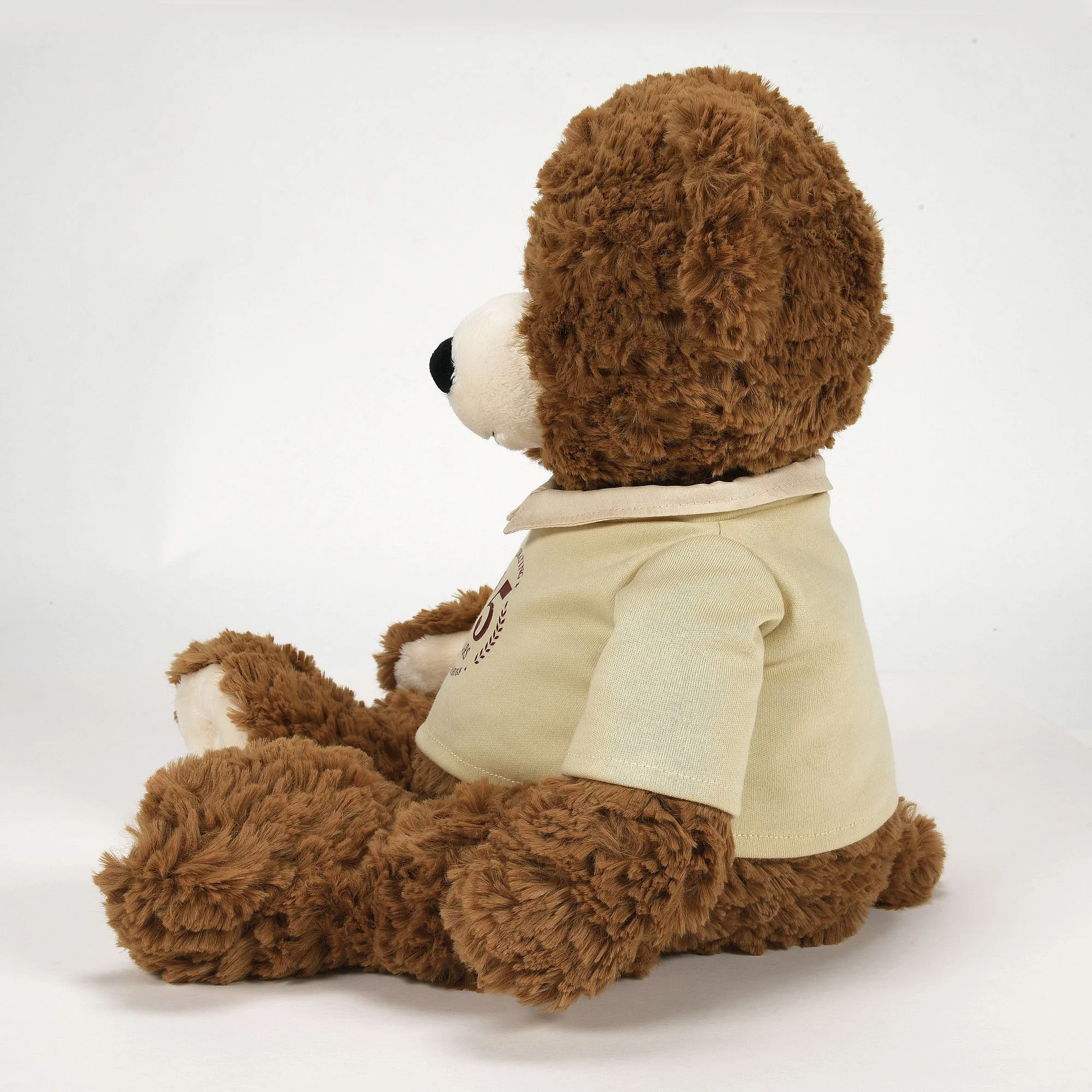 45th Anniversary Bear by Boyds Bears - Image 5