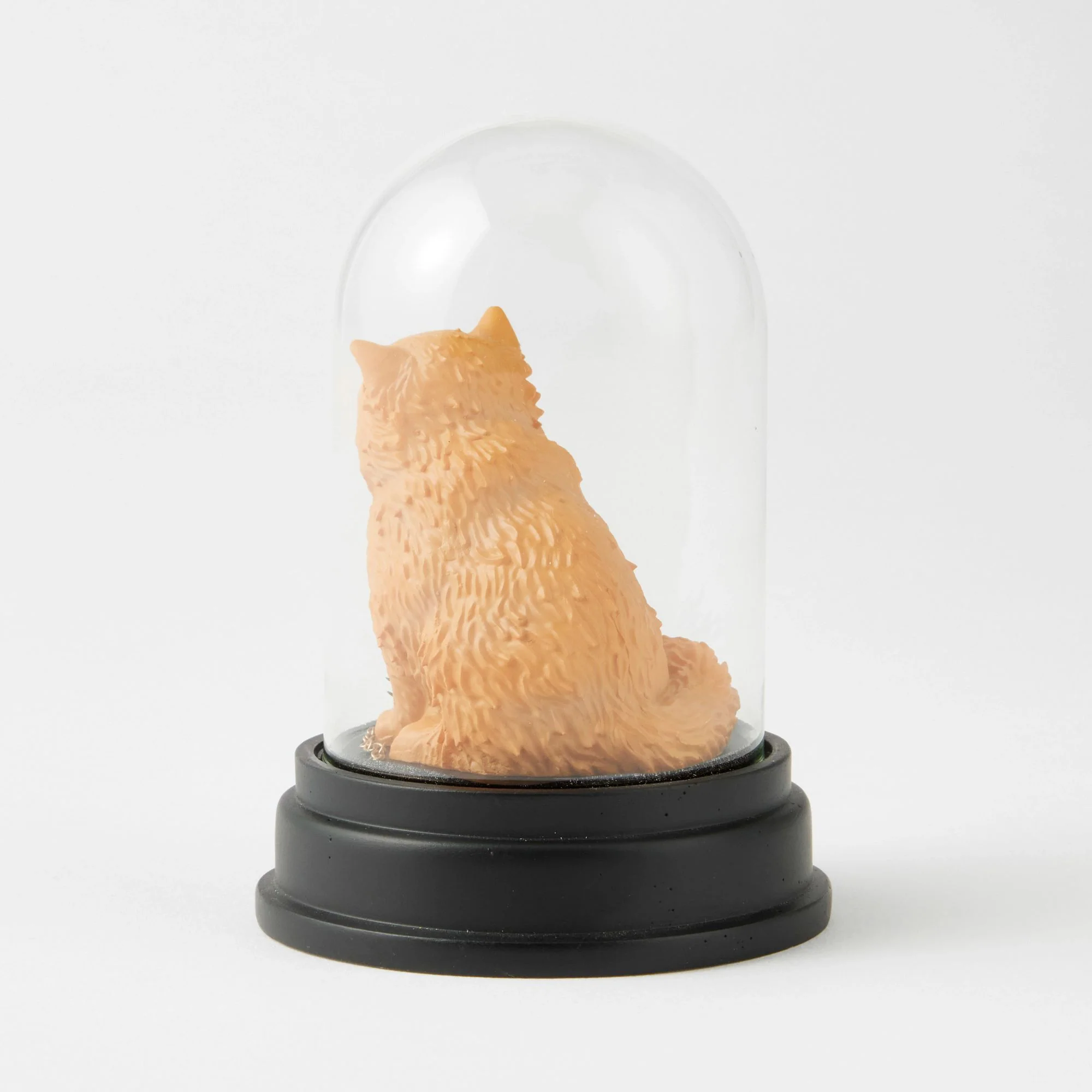 Crookshanks Curiosity Cloche - Wizarding World of Harry Potter - Image 5
