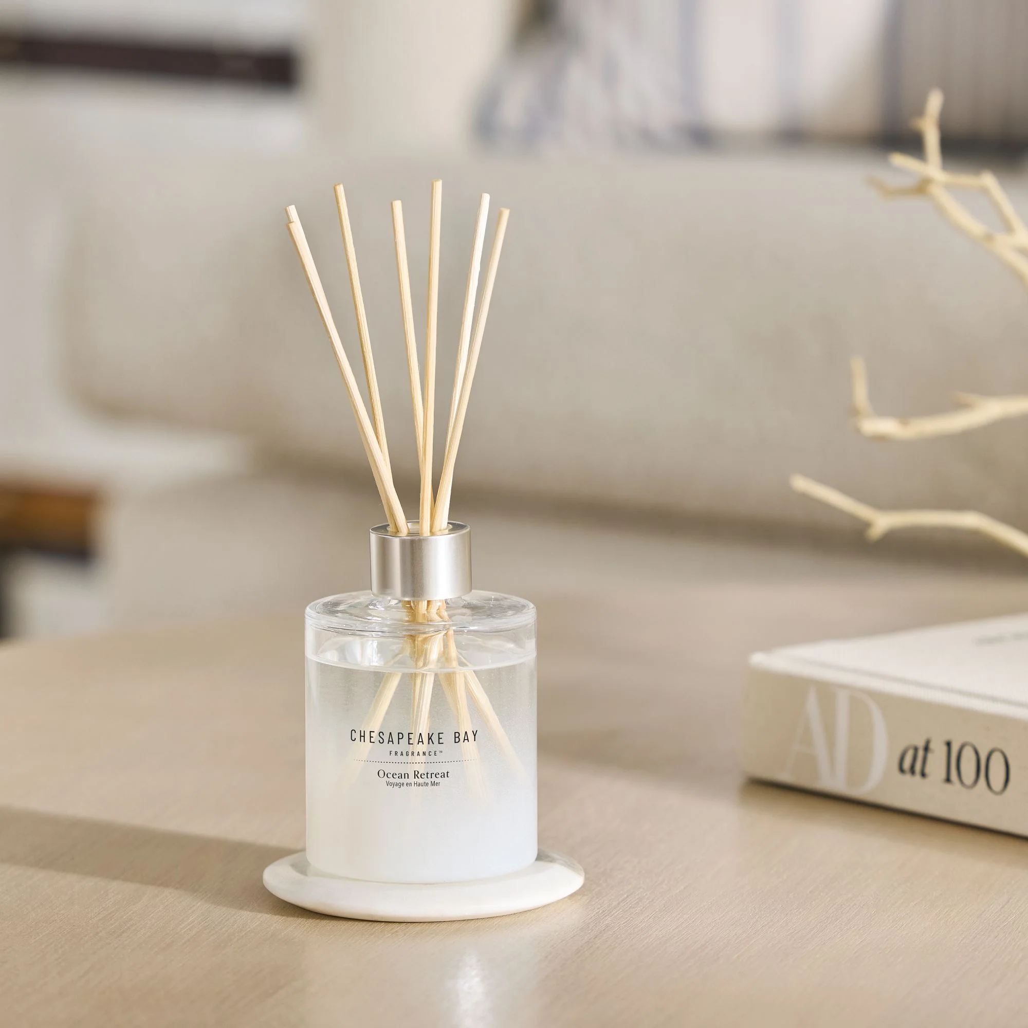 Ocean Retreat Reed Diffuser by Chesapeake Bay - Image 2