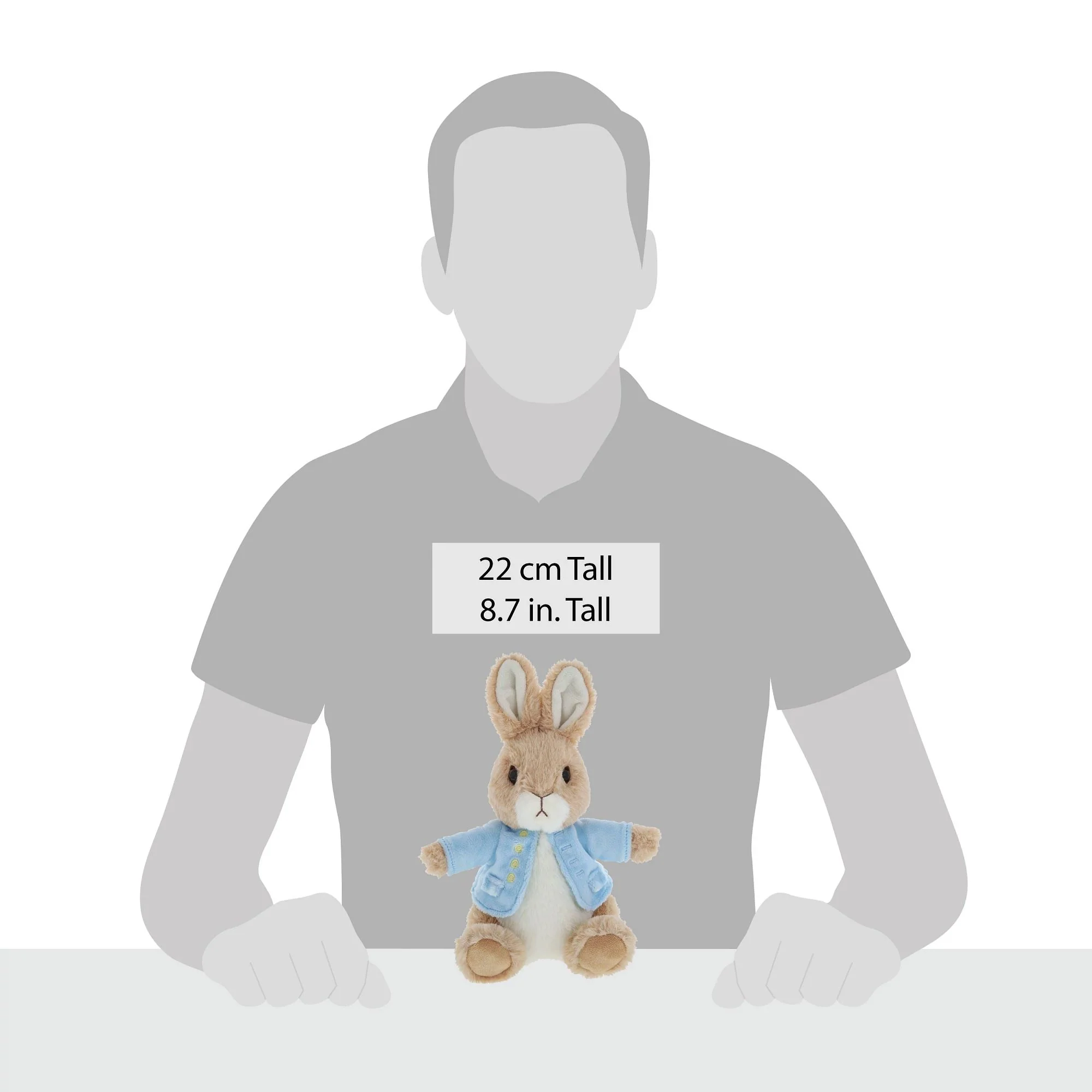 Peter Rabbit Medium Soft Toy - Image 4